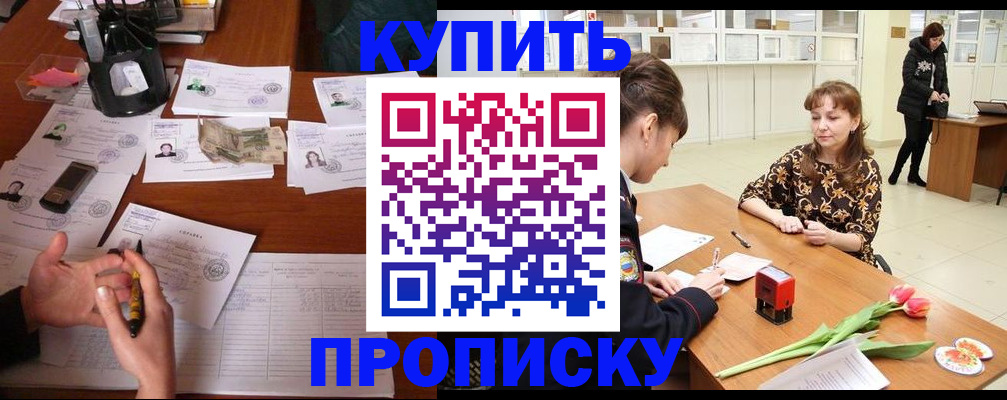 купить прописку в Пионерском